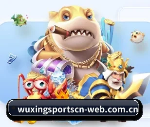 五星体育的故事